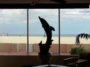 salvia cancun aparts