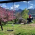bandb verger plein soleil