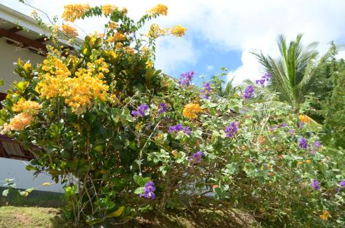 la residence villas and studios