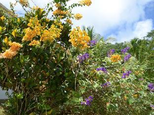 la residence villas and studios