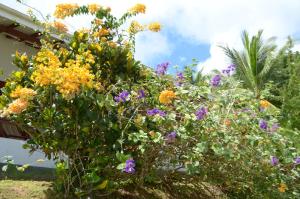 la residence villas and studios