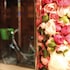 hotel roses