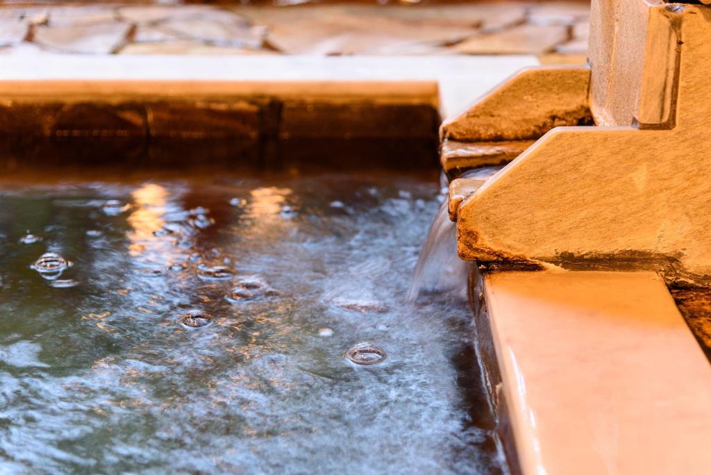 kujukogen ginga no yado kinoko iiseigo