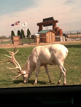 the fishing bear lodge