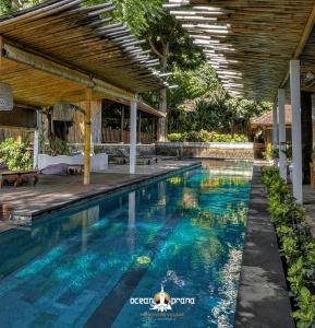 ocean prana freediving and yoga school bali