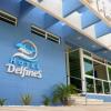 delfines veracruz