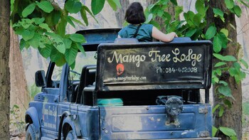 mango tree lodge