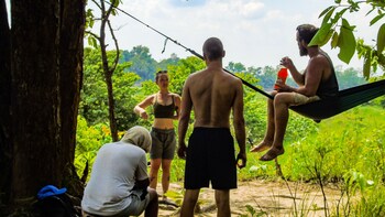 mango tree lodge