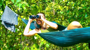 mango tree lodge