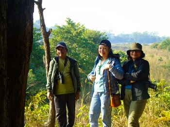 mango tree lodge