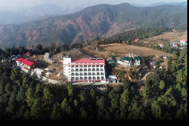 ezzenza jungle livinn