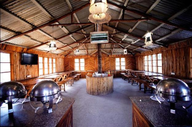 ezzenza jungle livinn