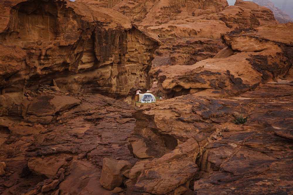 palmera camp wadi rum