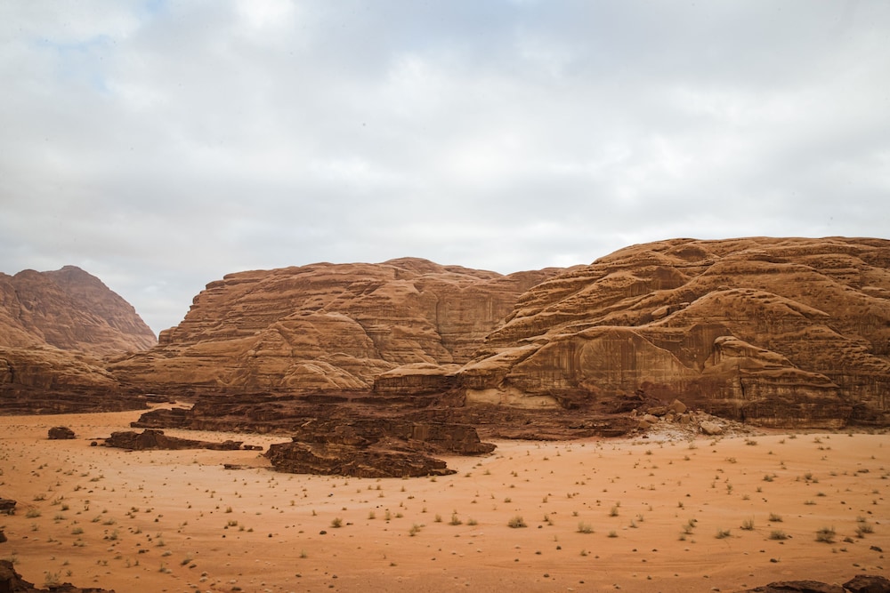 palmera camp wadi rum