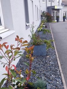 logis hotel cottage dudelange