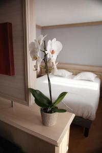 logis hotel cottage dudelange