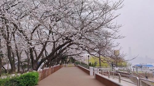 holiday inn riverside wuhan by ihg