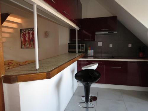 aparthotel francois 1er 16eme