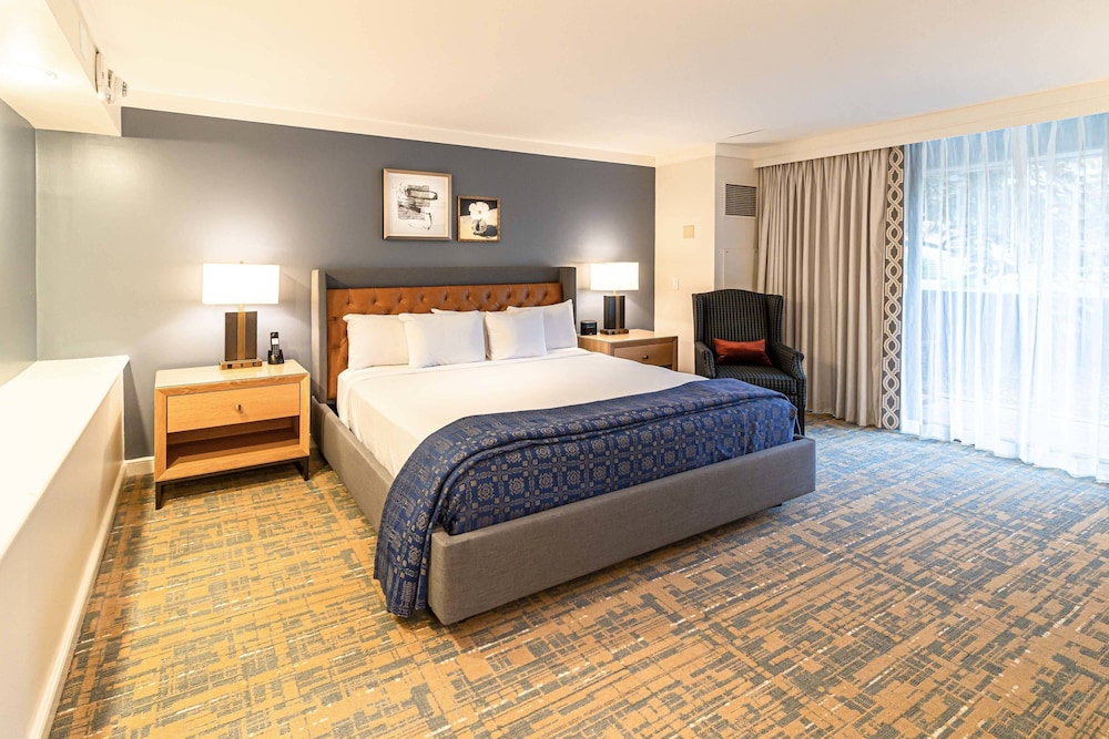 williamsburg lodge autograph collection