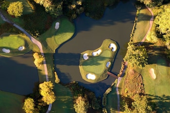 williamsburg lodge autograph collection