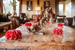 bush lodge amakhala gr