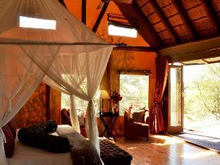 bush lodge amakhala gr