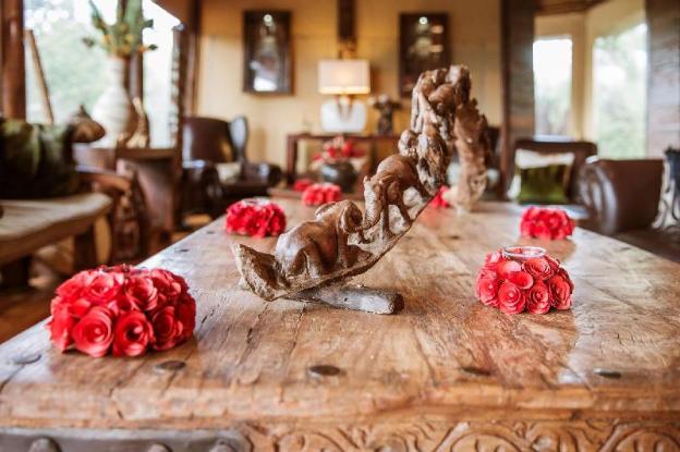 bush lodge amakhala gr