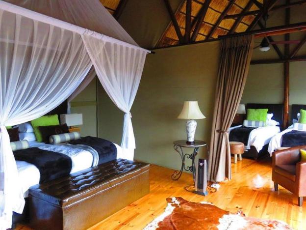 bush lodge amakhala gr