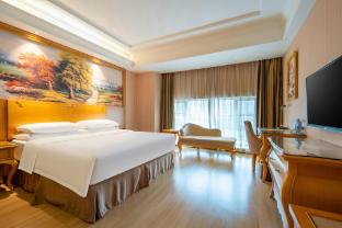 vienna hotel