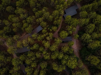 les cabanes de l oller