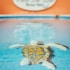 cozumel