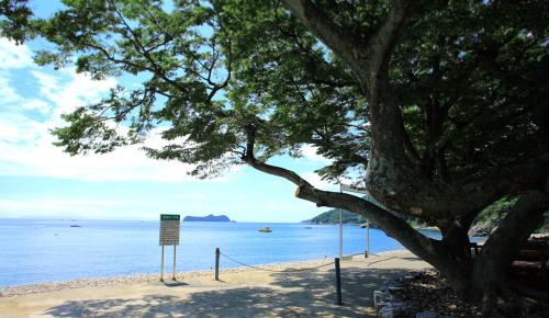 pinky marine pension