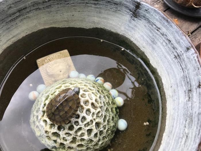 guest house agaihama