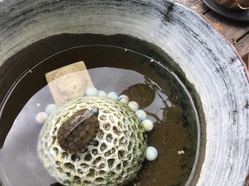 Guest House Agaihama,Okinawa>>Naha,3 star