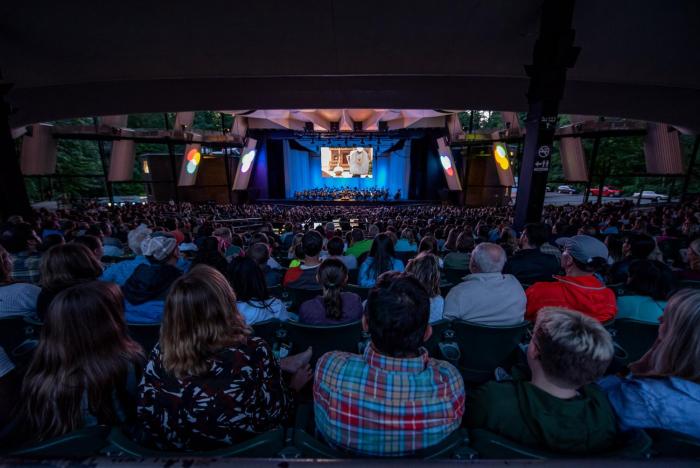 bluebird spa city motor lodge