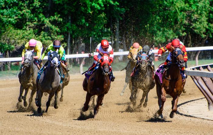 bluebird spa city motor lodge