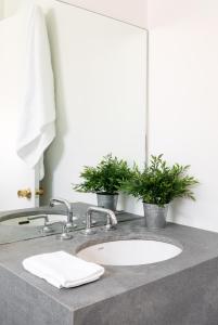 bluebird spa city motor lodge