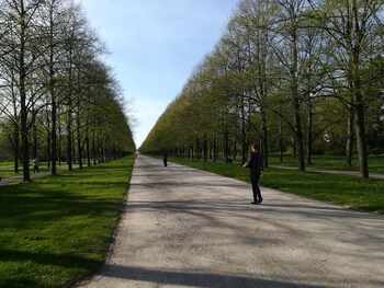 arena suites hannover