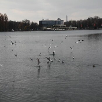 arena suites hannover