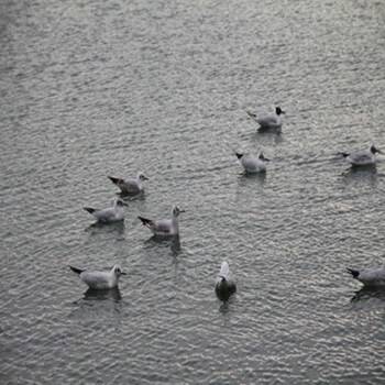 arena suites hannover