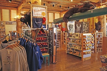 yellowstone national park