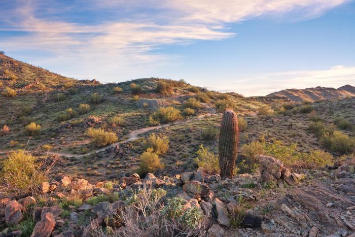 raintree at phoenix south mountain preserve