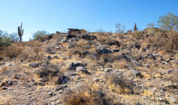 raintree at phoenix south mountain preserve