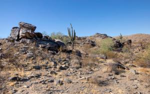 raintree at phoenix south mountain preserve