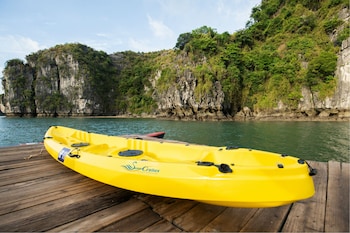 swan cruises halong