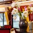swan cruises halong