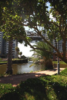 cape town