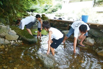 kamikawa