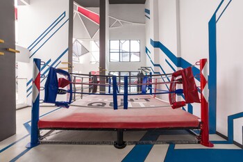 arte plus by sleepy bear