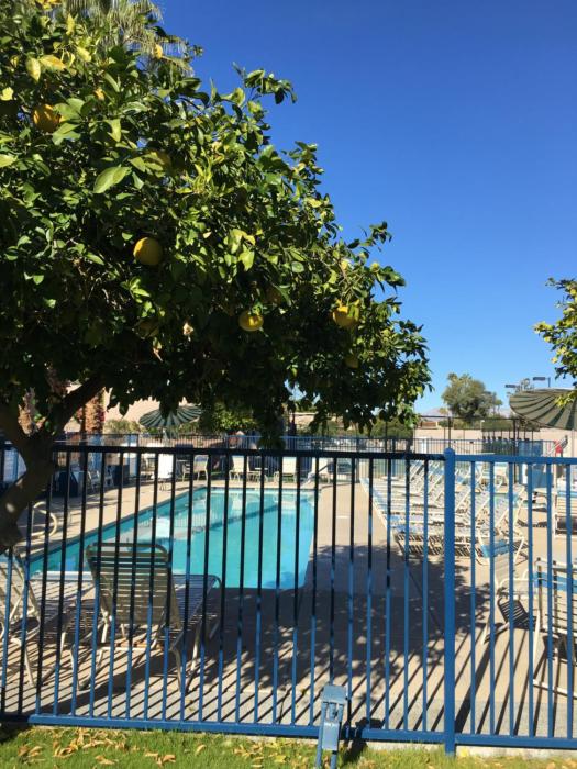 palm springs
